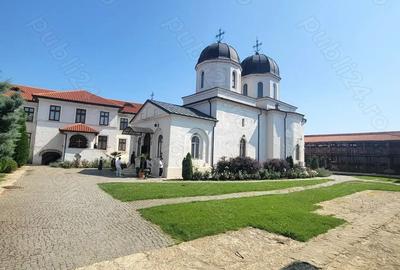 Teren de 250000 mp, în Comana - 5