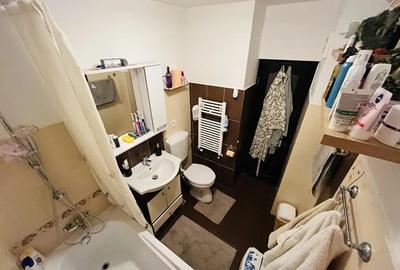 Apartament cu 3 camere decomandat, mobilat în Lunca Cetățuii - 6