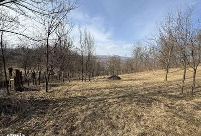 Spațiu comercial, în Central - 7