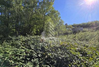 Teren Intravilan Cuied 3260 mp - 4