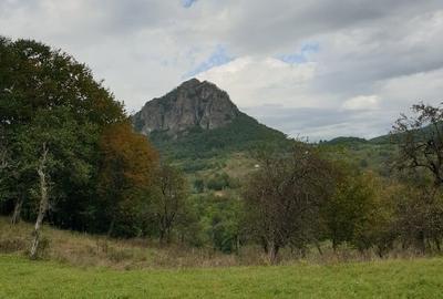 Teren intravilan de 8500 mp, în Hărțăgani - 2