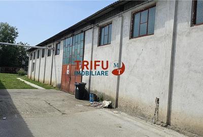 Spațiu Industrial în Alba Iulia de închiriat - 3