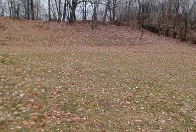 Teren de 3400 mp, în Tănăsești - 4