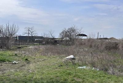 Spațiu comercial, în Luciu - 1