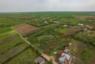 LETCA NOUA, TEREN CONSTRUCTII 1184 MP, FRONT 21 M ! - 11