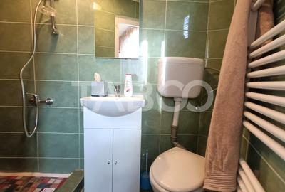 Garsoniera spatioasa la casa in apropiere de Podul Minciunilor Sibiu - 7