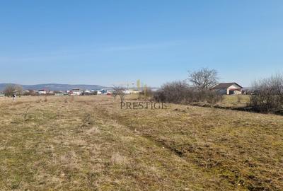 Teren agricol extravilan de 1000 mp, în Șelimbăr - 4