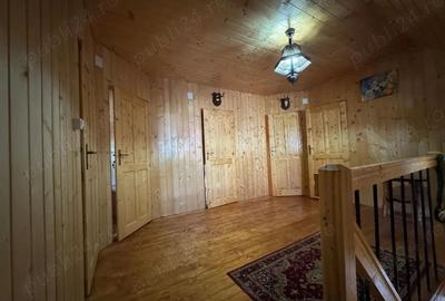 Vila de vanatoare in Santimbru-Bai - 14