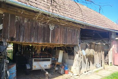 Casa la tara cu moara si trifazic laslau mare, Mures - 5