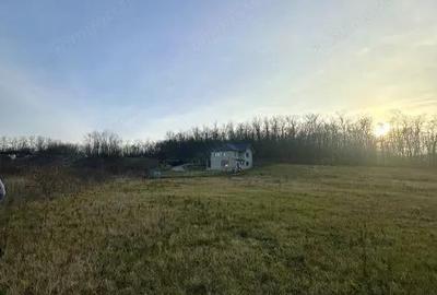 Teren intravilan 687 mp, de vanzare Paleu, Bihor - 1