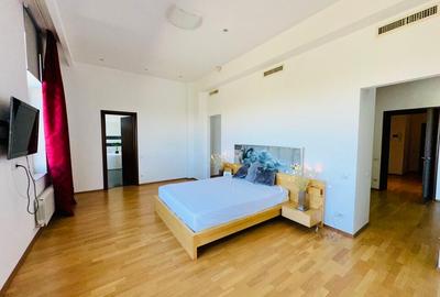 Aleea Privighetorilor- Penthouse 833 mp utili mobilat complet 3600 Euro + TVA - 16