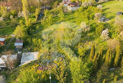 Teren Construcții intravilan de 1626 mp, în Slănic - 3