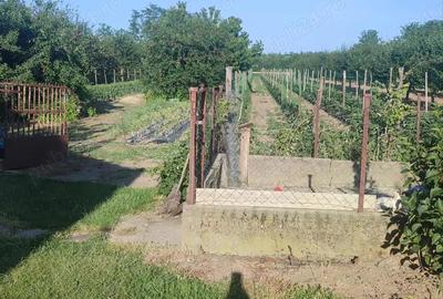 Casa de vanzare in Ungaria aproape de granita - 1