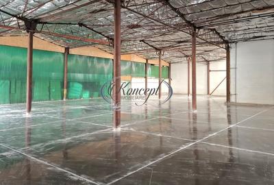 Hala ideala pentru productie sau logistica, pe Calea Baciului - 8