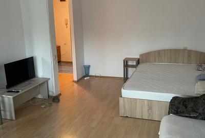 Lujerului-Militari,pet friendly - 16