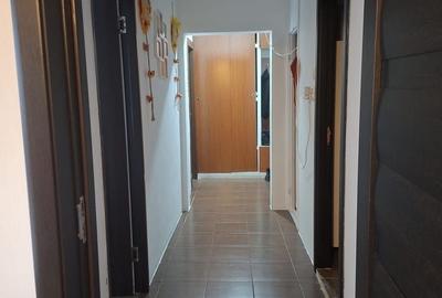 Apartament 2 camere de vanzare Gorjului-Rasaritului - 17
