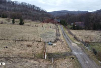 Spațiu comercial, în Tăuți - 7