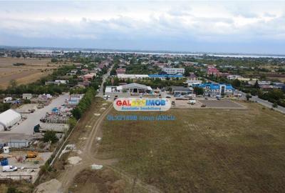 Teren Mihailesti Penny - 4