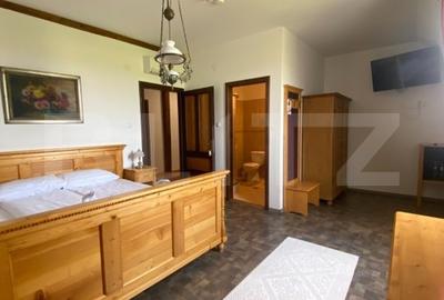 Conac de vanzare 7 camere, baie proprie, crama, ciubar si potential - 6