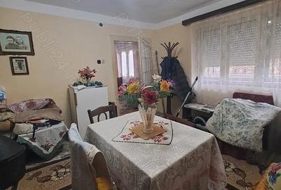 Vand casa in Someseni, comuna Apa - 7