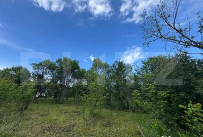 Teren de 6000 mp, în Central - 2