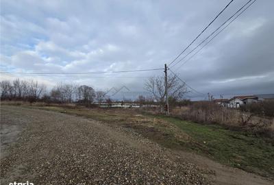 Spațiu comercial, în Paleu - 3