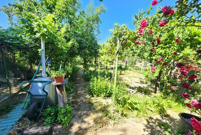Casă individuală cu 2 camere cu Teren 497 Mp în Freidorf - 8
