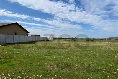 Teren de 1000 mp, în Oșorhei - 3