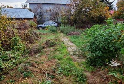 Casa locuibila cu 3 camere, 1700 mp teren deschidere 30 m, DOMNESTI - 3