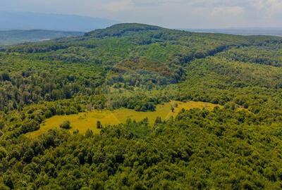 COMISION 0% Teren Grid/Inima Naturii/ Oportunitate de inv... - 15