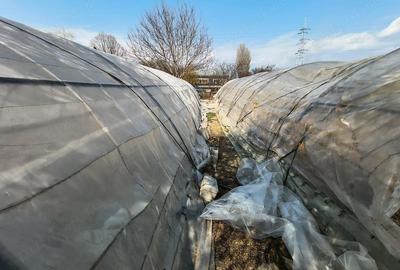 Casă cu Teren 1270 Mp în Transilvaniei - 3