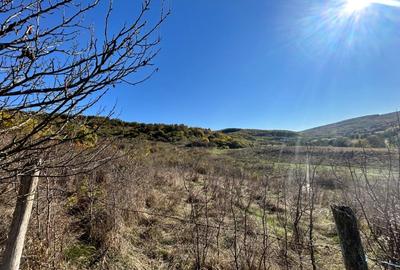 Teren intravilan 700mp , zona Valea Garbaului - 1