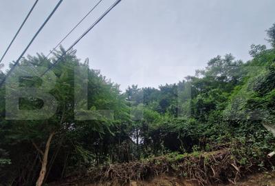 Casa in inimia Brasovului individuala la pret de apartament - 7