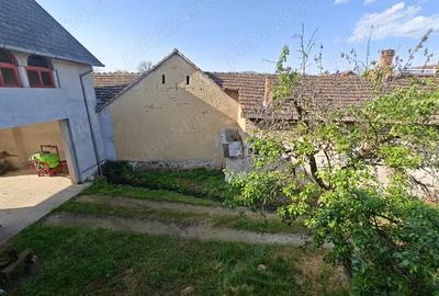 Casa Beius Finis 15 camere - 3