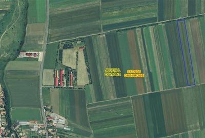 Teren extravilan pe 11.700mp, Coseni, Covasna Teren extravilan pe 11.700mp, Coseni, Covasna - 1