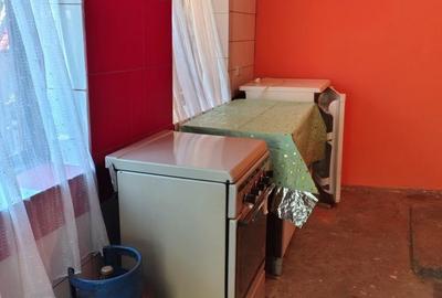 Casă cu 2 camere în Romanești - 2