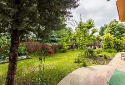 Vila oportunitate, 6 camere, teren 1.000 mp, de vanzare, Snagov - 8