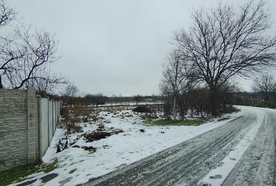 Teren 602 mp, Mischii, front 33,13m - 2