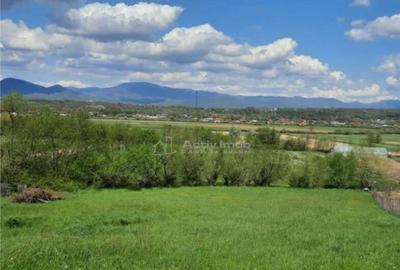 Teren Intravilan 13 Ari Coltau zona buna - 1