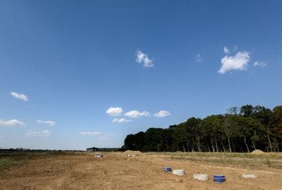 Vand lot teren la padurea Snagov - 2