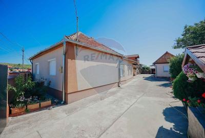 Casa si teren de 1397 mp de vanzare in Ineu, la 18 km de Oradea - 18