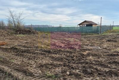 Teren aproape de Bucuresti langa padure intre case - 2