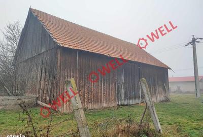 Spațiu comercial, în Chichiș - 3