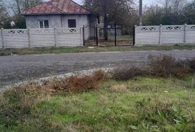 Casă cu 2 camere în Radu Vodă - 1