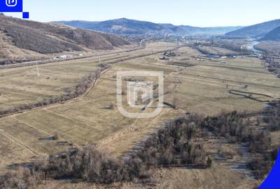 Teren Construcții extravilan de 2250 mp, în Voroneț - 5