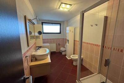 Apartament cu 2 camere decomandat, mobilat în Băneasa - 3