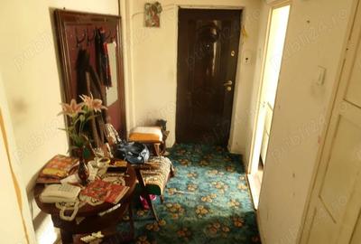 Apartament cu 2 camere decomandat în Micălaca - 10