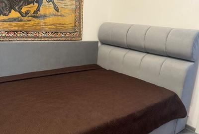 Apartament cu 3 camere decomandat în Drumul Găzarului - 8