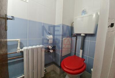 Apartament cu 4 camere decomandat în Pajura - 14