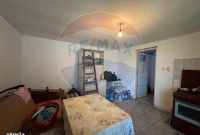 Casă cu 2 camere cu Teren 1172 Mp în Zădăreni - 3